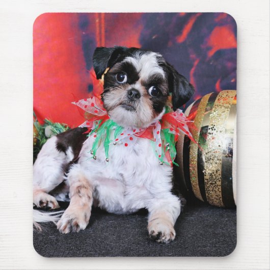 Kerstmis - Shih Tzu - Chin Ching Muismat (Voorkant)