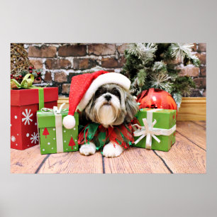 Kerstmis - Shih Tzu - Vince Poster