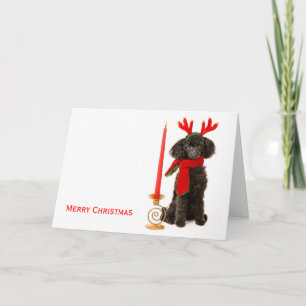 Kerstmis Speelgoed Poodle Dog Feestdagen Kaart