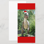 Kerstmis T-Rex Dinosaur (Voorkant / Achterkant)