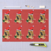 Kerstmis Tissuepapier (Craft)