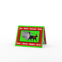 Kerstmis TNR Cat Rescue Trap Neuter Return