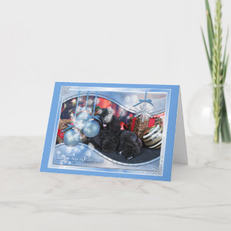 Kerstmis - Toby - Poedel Feestdagen Kaart
