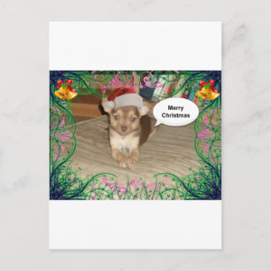 Kerstmis van Chihuahua Feestdagenkaart