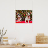 Kerstmis van Chihuahua Poster (Keuken)