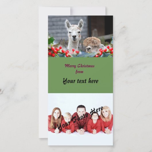 Kerstmis van de alpaca feestdagenkaart (Voorkant)