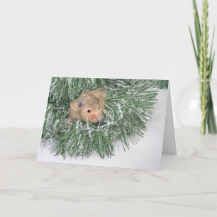 Kerstmis van de hamster feestdagen kaart