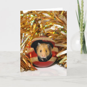 Kerstmis van de hamster feestdagen kaart