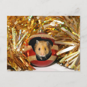 Kerstmis van de hamster feestdagenkaart