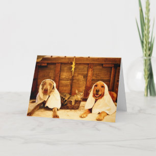 Kerstmis van de hond feestdagen kaart