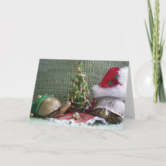 Kerstmis van de schildpad feestdagen kaart