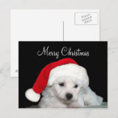 Kerstmis van Frise van Bichon Feestdagenkaart (Voorkant / Achterkant)