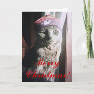 Kerstmis van het kat feestdagen kaart