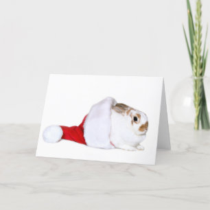 Kerstmis van het konijntje feestdagen kaart