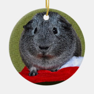 Kerstmis van het proefkonijn keramisch ornament