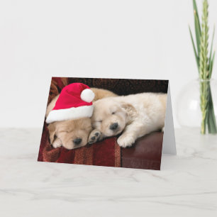 Kerstmis van het puppy feestdagen kaart