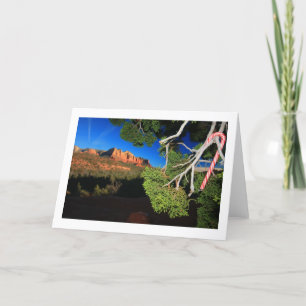 Kerstmis van het zuidwesten feestdagen kaart