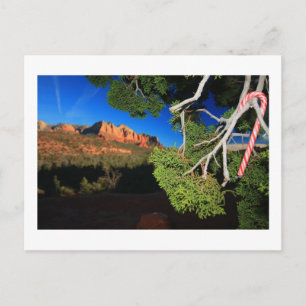 Kerstmis van het zuidwesten feestdagenkaart