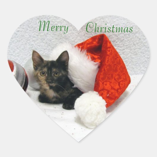 Kerstmis van Holley - Kat / Kitten Stickers (Voorkant)