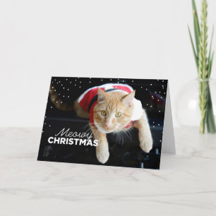 Kerstmis van Meowy Feestdagen Kaart