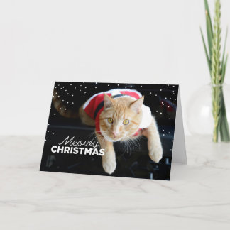 Kerstmis van Meowy Feestdagen Kaart