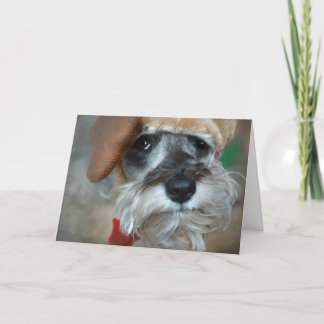 Kerstmis van Schnauzer Feestdagen Kaart