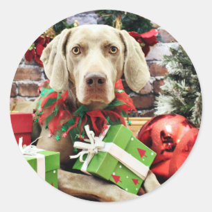 Kerstmis - Weimaraner - Lucy Ronde Sticker