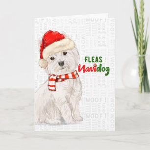 Kerstmis West Highland Terrier Fleas NaviDOG Feestdagen Kaart