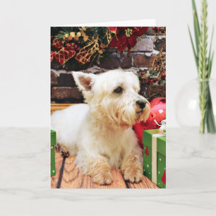 Kerstmis - Westie - Callie Feestdagen Kaart