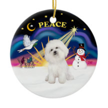 Kerstmis zonsopgang - Bichon Frise 4