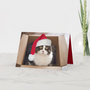Kerstmiskat in Kartondoos Kaart