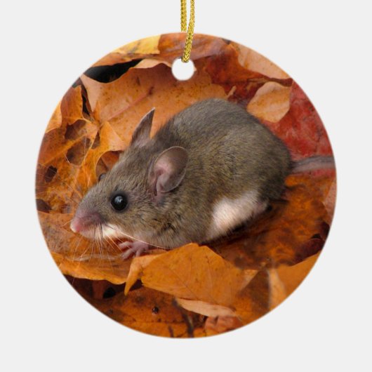 kerstmuis keramisch ornament (Voorkant)