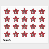 Kerstmuts Rood Ster Sticker (Vel)