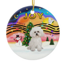 Kerstmuziek 2 - Bichon Frise 2