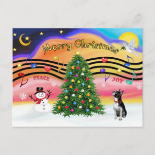 Kerstmuziek 2 - BostonTerrier2 Feestdagenkaart
