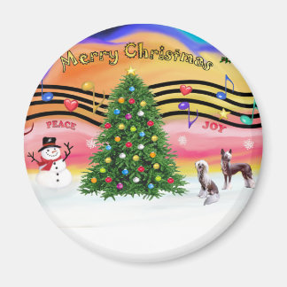 Kerstmuziek 2 - Chinese Crested (2 HL) Magneet