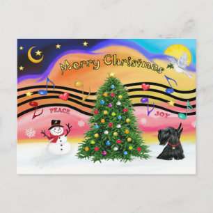 Kerstmuziek 2 - Schotse Terrier 12 Feestdagenkaart