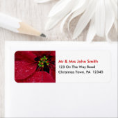 Kerstnamenadreslabels Etiket (Insitu)