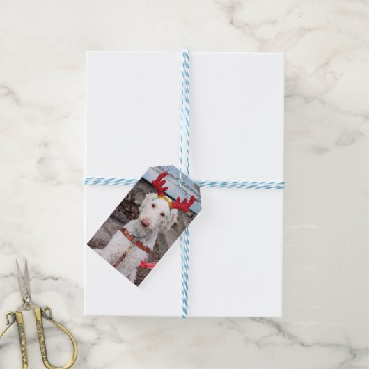 KerstOllie Cadeaulabel (Met Touw)