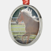 Kerstornament Tango Metalen Ornament (Links)