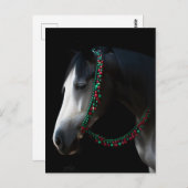 kerstpaard briefkaart (Voorkant / Achterkant)