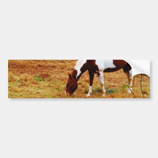 kerstpaard bumpersticker (Voorkant)