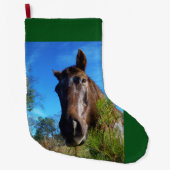 kerstpaard grote kerstsok (Voorkant)