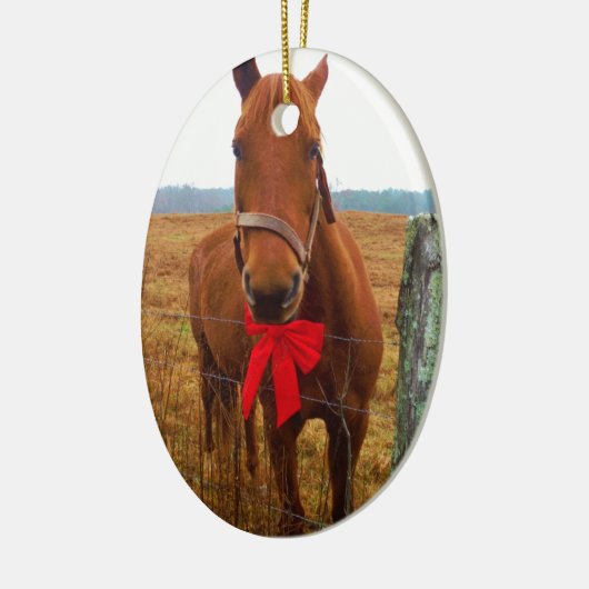 kerstpaard keramisch ornament (Links)