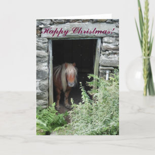 KERSTPAARDEN EN PONY'S FEESTDAGEN KAART