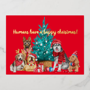 Kerstpak van honden onder het briefkaart