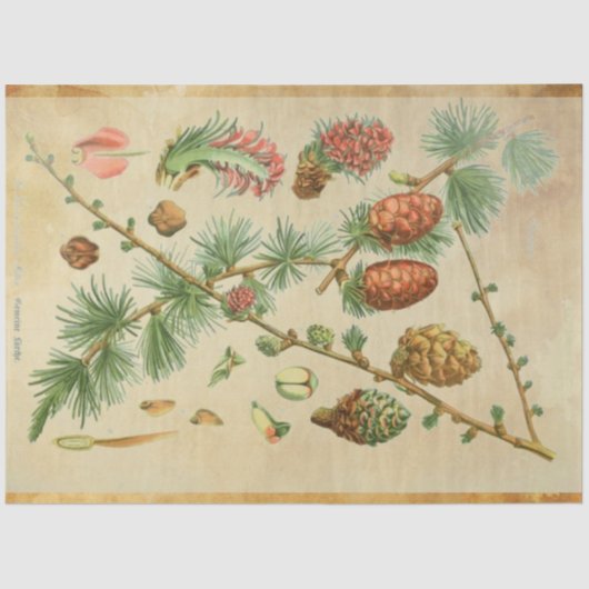 kerstpapier tissuepapier (Voorkant)