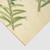 kerstpapier tissuepapier (Detail)