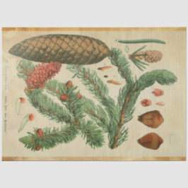 kerstpapier tissuepapier