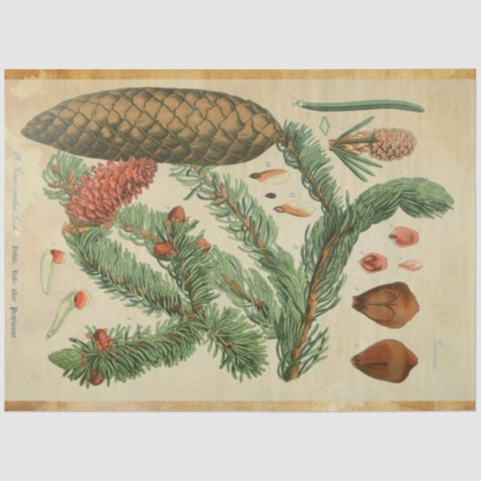 kerstpapier tissuepapier (Voorkant)